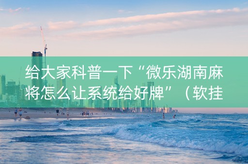 给大家科普一下“微乐湖南麻将怎么让系统给好牌”（软挂神器)