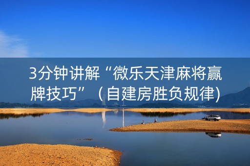 3分钟讲解“微乐天津麻将赢牌技巧”（自建房胜负规律)
