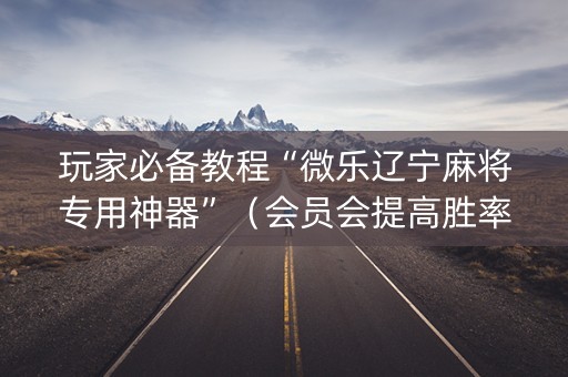 玩家必备教程“微乐辽宁麻将专用神器”（会员会提高胜率吗)