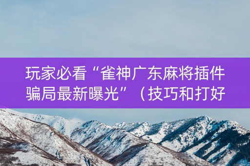 玩家必看“雀神广东麻将插件骗局最新曝光”（技巧和打好牌方法)