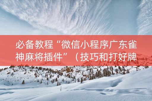 必备教程“微信小程序广东雀神麻将插件”（技巧和打好牌方法)