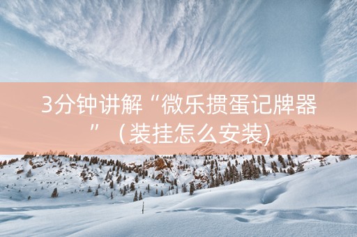 3分钟讲解“微乐掼蛋记牌器”（装挂怎么安装)