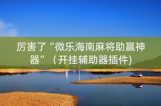 厉害了“微乐海南麻将助赢神器”（开挂辅助器插件)