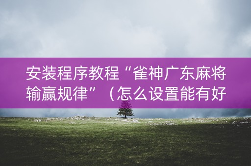 安装程序教程“雀神广东麻将输赢规律”（怎么设置能有好牌)