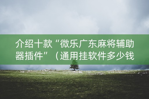 介绍十款“微乐广东麻将辅助器插件”（通用挂软件多少钱)