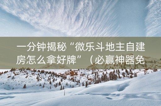 一分钟揭秘“微乐斗地主自建房怎么拿好牌”（必赢神器免费安装)