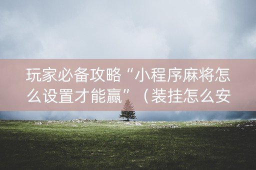 玩家必备攻略“小程序麻将怎么设置才能赢”（装挂怎么安装)