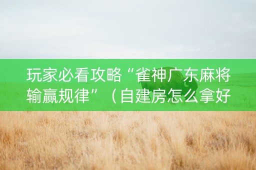 玩家必看攻略“雀神广东麻将输赢规律”（自建房怎么拿好牌)