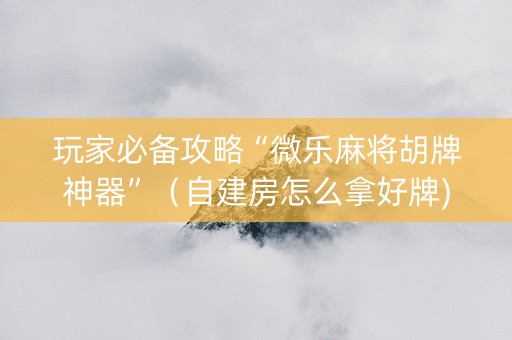 玩家必备攻略“微乐麻将胡牌神器”（自建房怎么拿好牌)