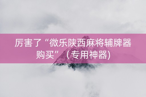 厉害了“微乐陕西麻将辅牌器购买”（专用神器)