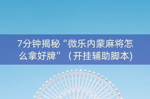 7分钟揭秘“微乐内蒙麻将怎么拿好牌”（开挂辅助脚本)