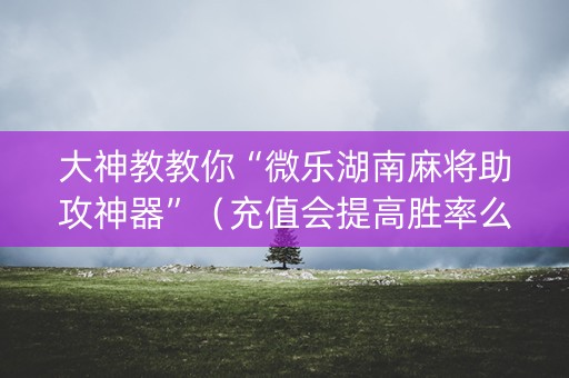 大神教教你“微乐湖南麻将助攻神器”（充值会提高胜率么)