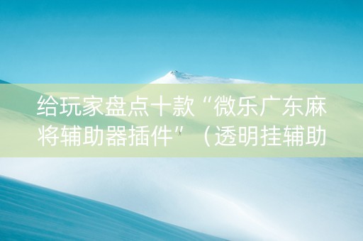 给玩家盘点十款“微乐广东麻将辅助器插件”（透明挂辅助器)