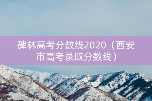 碑林高考分数线2020（西安市高考录取分数线）