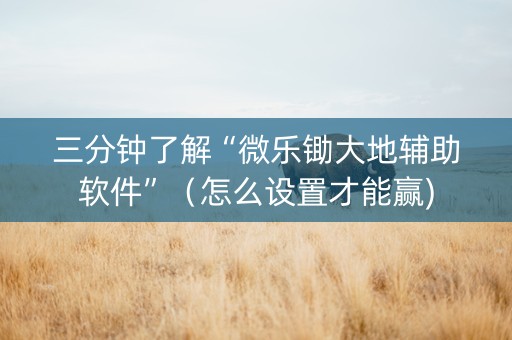三分钟了解“微乐锄大地辅助软件”（怎么设置才能赢)