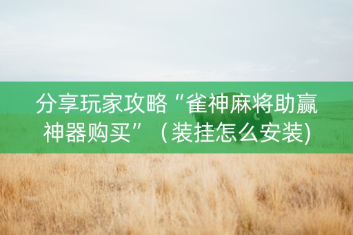 分享玩家攻略“雀神麻将助赢神器购买”（装挂怎么安装)