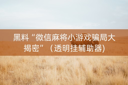 黑料“微信麻将小游戏骗局大揭密”（透明挂辅助器)