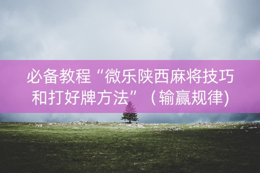 必备教程“微乐陕西麻将技巧和打好牌方法”（输赢规律)