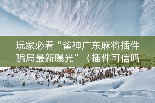 玩家必看“雀神广东麻将插件骗局最新曝光”（插件可信吗)