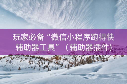 玩家必备“微信小程序跑得快辅助器工具”（辅助器插件)