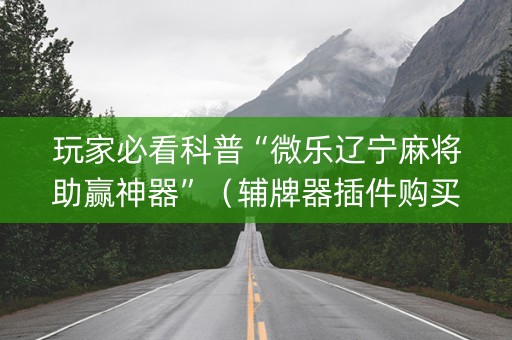 玩家必看科普“微乐辽宁麻将助赢神器”（辅牌器插件购买)