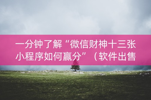 一分钟了解“微信财神十三张小程序如何赢分”（软件出售)