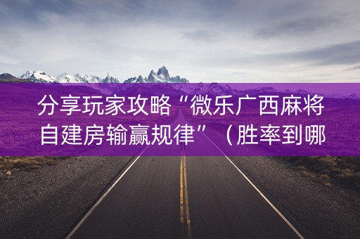 分享玩家攻略“微乐广西麻将自建房输赢规律”（胜率到哪调)