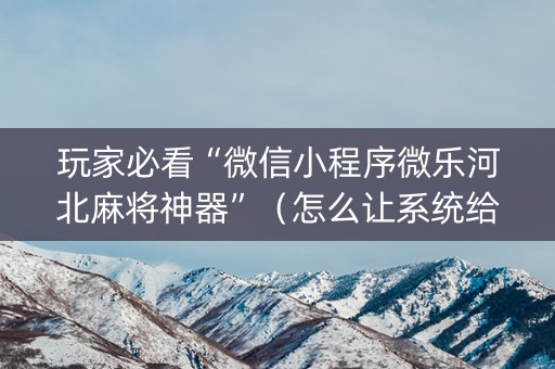 玩家必看“微信小程序微乐河北麻将神器”（怎么让系统给你发好牌)