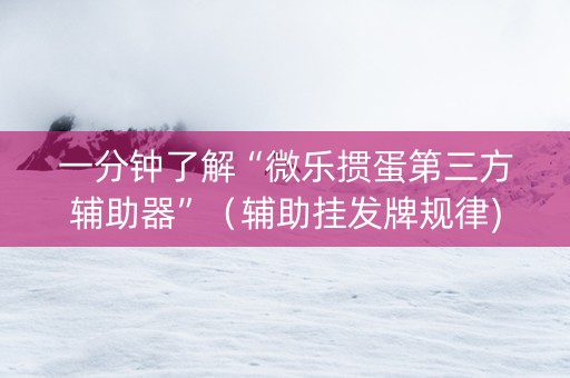 一分钟了解“微乐掼蛋第三方辅助器”（辅助挂发牌规律)