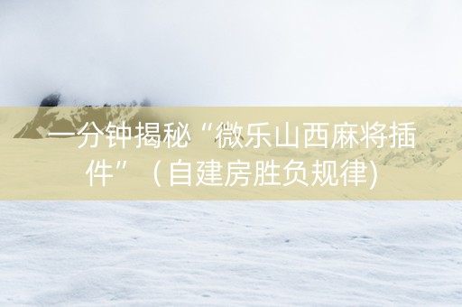一分钟揭秘“微乐山西麻将插件”（自建房胜负规律)