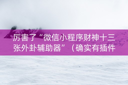 厉害了“微信小程序财神十三张外卦辅助器”（确实有插件吗)