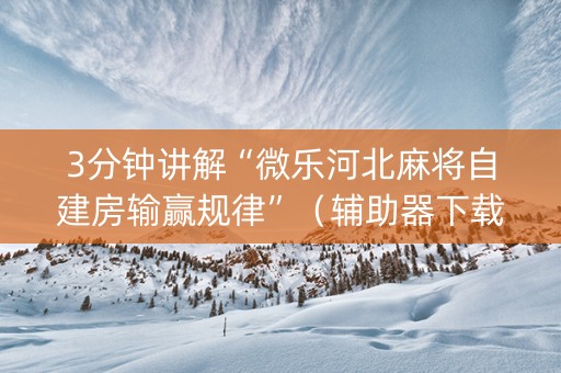 3分钟讲解“微乐河北麻将自建房输赢规律”（辅助器下载)