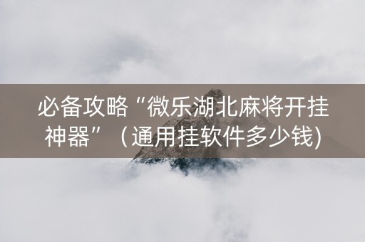 必备攻略“微乐湖北麻将开挂神器”（通用挂软件多少钱)