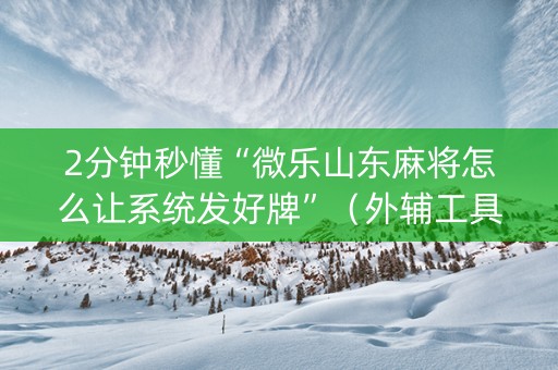 2分钟秒懂“微乐山东麻将怎么让系统发好牌”（外辅工具)