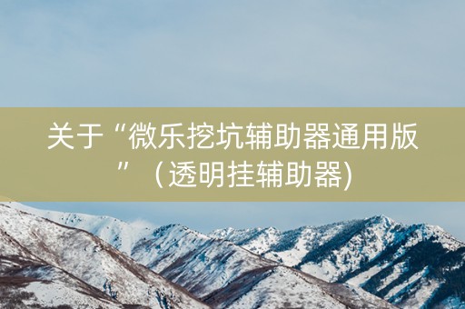 关于“微乐挖坑辅助器通用版”（透明挂辅助器)