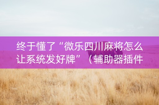 终于懂了“微乐四川麻将怎么让系统发好牌”（辅助器插件)