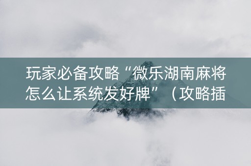 玩家必备攻略“微乐湖南麻将怎么让系统发好牌”（攻略插件)