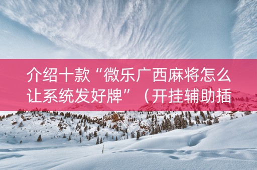 介绍十款“微乐广西麻将怎么让系统发好牌”（开挂辅助插件)