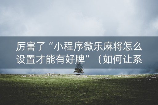 厉害了“小程序微乐麻将怎么设置才能有好牌”（如何让系统发好牌)