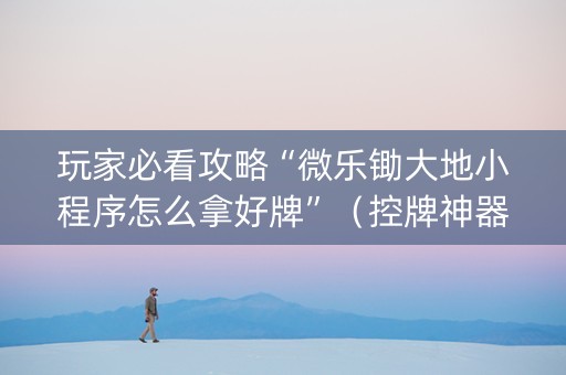 玩家必看攻略“微乐锄大地小程序怎么拿好牌”（控牌神器)