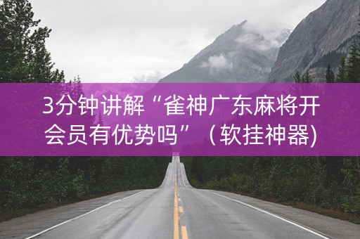 3分钟讲解“雀神广东麻将开会员有优势吗”（软挂神器)