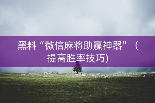 黑料“微信麻将助赢神器”（提高胜率技巧)