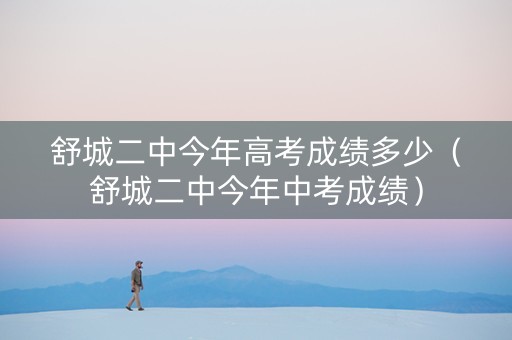舒城二中今年高考成绩多少（舒城二中今年中考成绩）