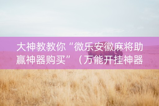 大神教教你“微乐安徽麻将助赢神器购买”（万能开挂神器)
