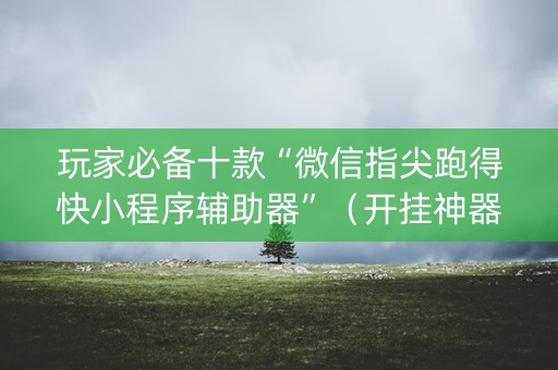 玩家必备十款“微信指尖跑得快小程序辅助器”（开挂神器下载)