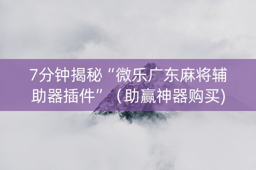 7分钟揭秘“微乐广东麻将辅助器插件”（助赢神器购买)