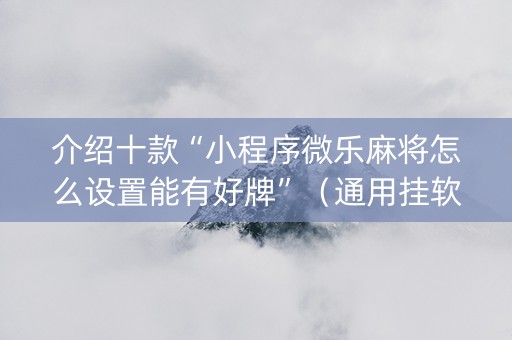 介绍十款“小程序微乐麻将怎么设置能有好牌”（通用挂软件多少钱)