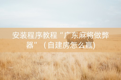 安装程序教程“广东麻将做弊器”（自建房怎么赢)