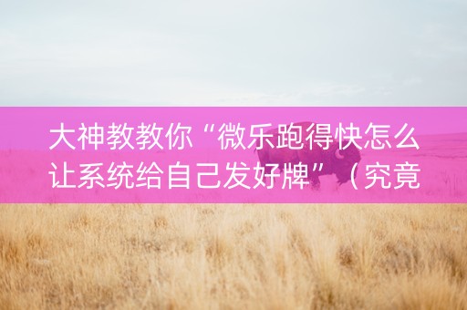 大神教教你“微乐跑得快怎么让系统给自己发好牌”（究竟是不是有挂)