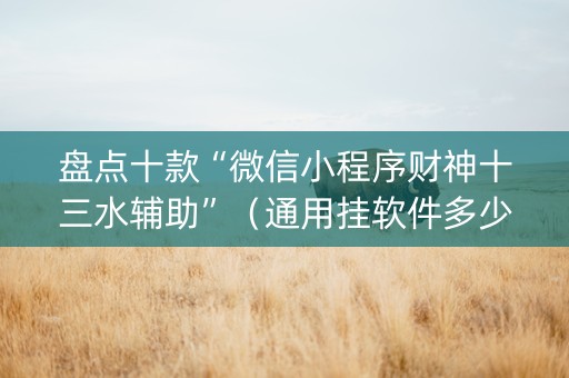 盘点十款“微信小程序财神十三水辅助”（通用挂软件多少钱)
